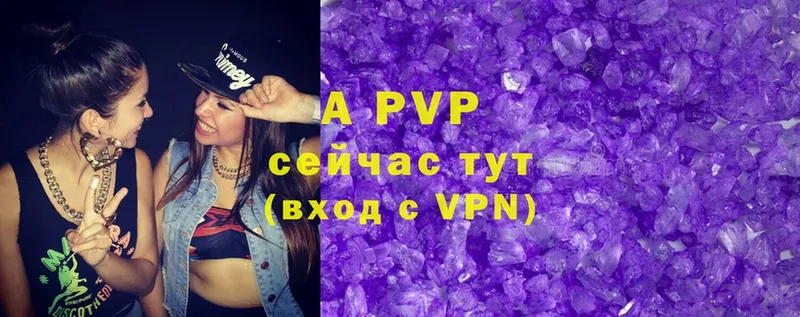 A PVP СК  Алушта 